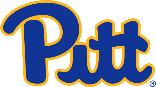Pittsburgh Panthers 2019-Pres Primary Logo t shirts iron on transfers...